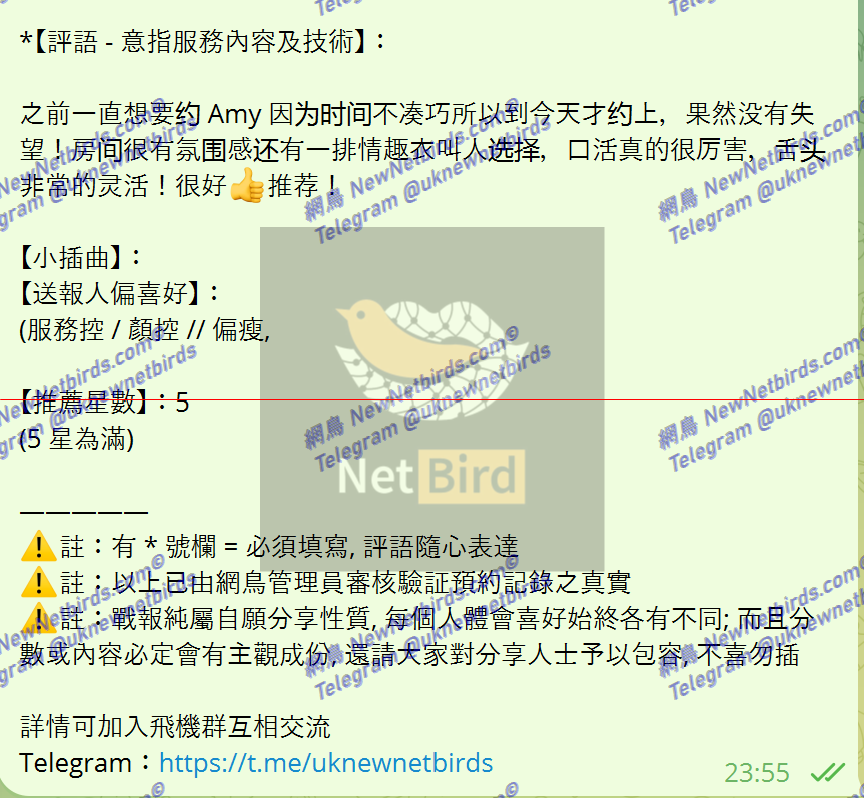 戰號 535 2.png
